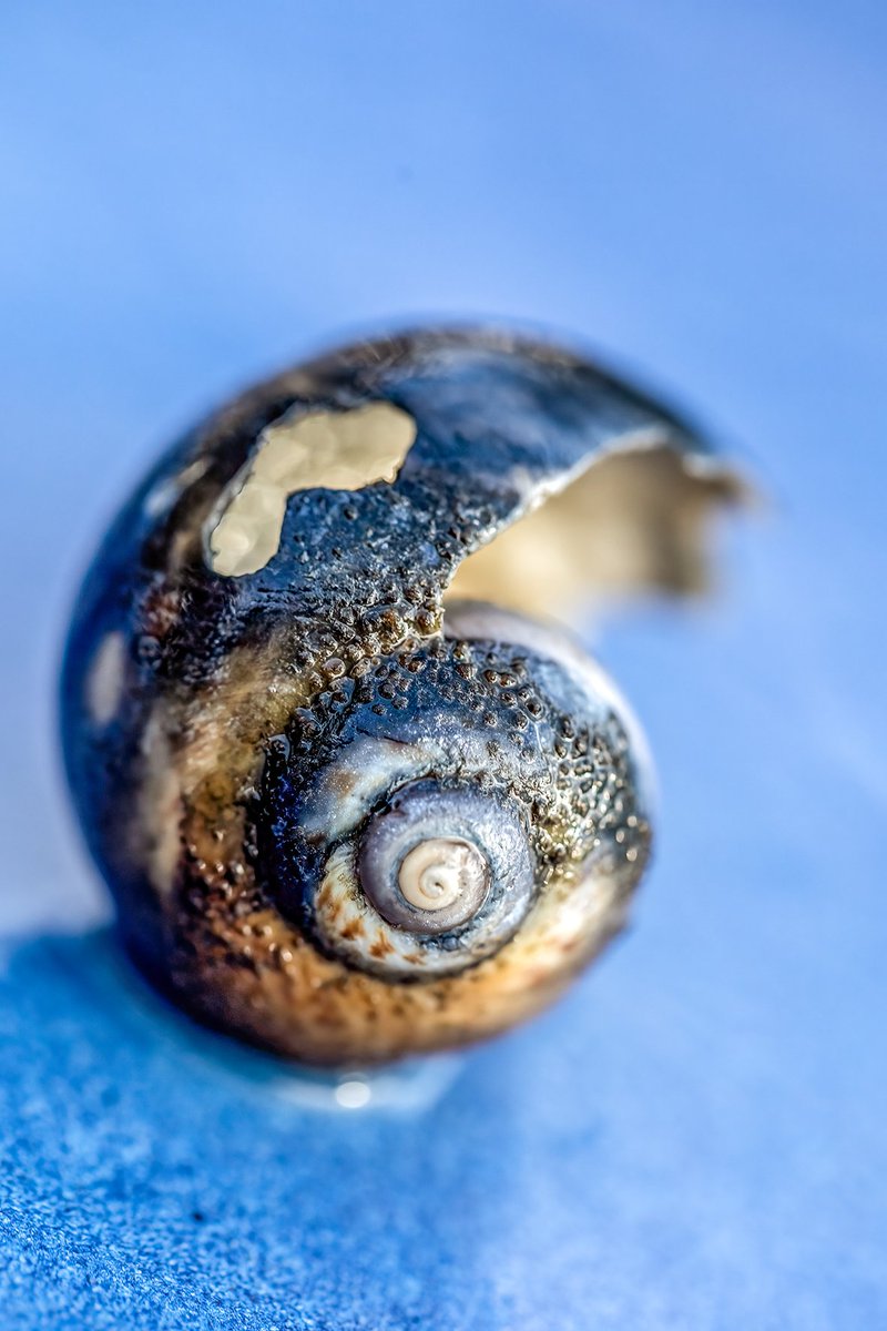 SiaWindig's tweet photo. 1. Het sluitstuk van #Junieke_Fotografie. Het was leuk: thema's bedenken &amp; dan de hele dag fotocadeautjes uitpakken, verrast worden door alle unieke beelden en fijne gesprekken onderling. Daarom is de laatste challenge #Hartelijk 🫶 bedankt! https://t.co/BPHVDtbGC2