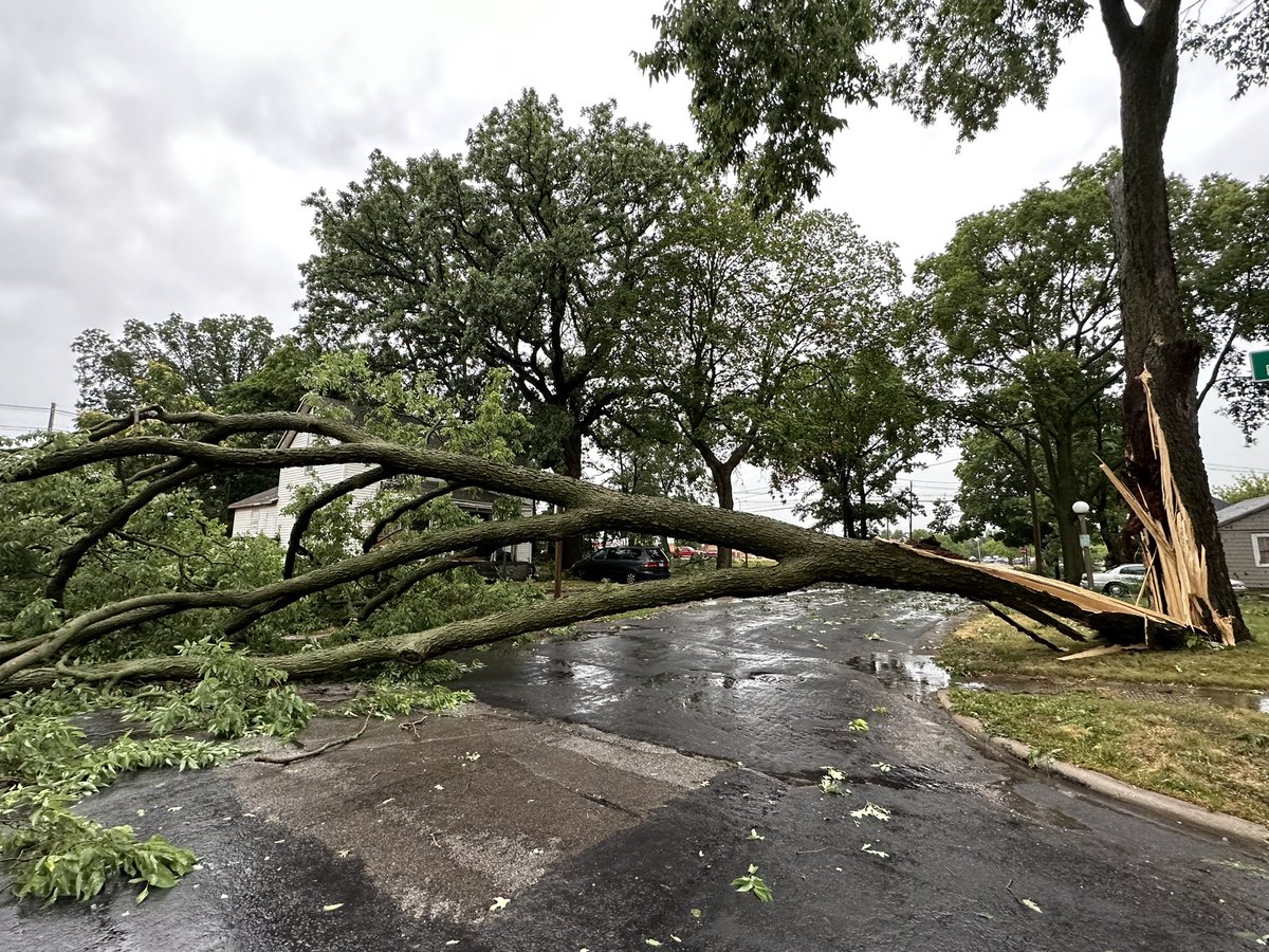 Large healthy tree down right by my home completely blocking an intersection in Urbana, IL. #ilwx <a href="/NWSLincolnIL/">NWS Lincoln IL</a>