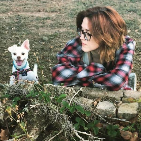 10,000 Bees tweet media