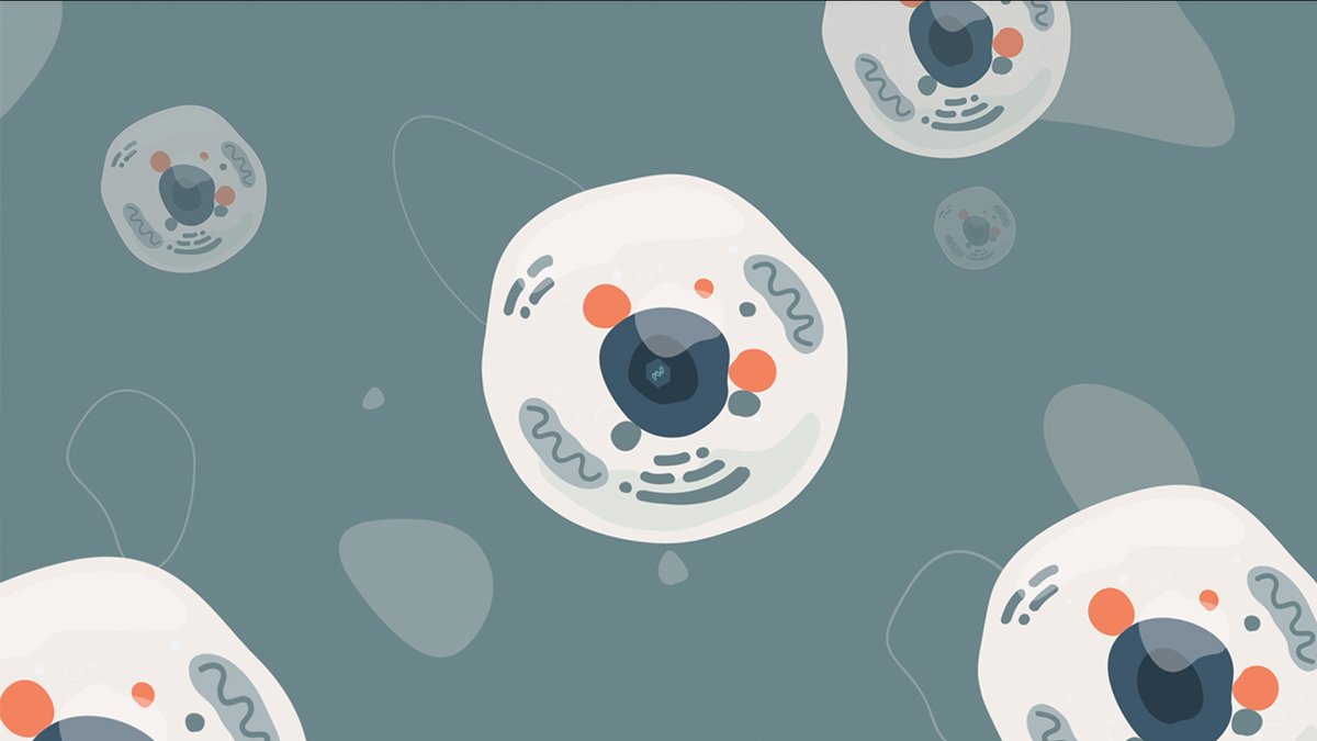 Today, #FDA approved the first #genetherapy to treat adults with severe Hemophilia A, #Roctavian. Approximately 1 in 10,000 people have the blood clotting disorder. Read the statement from ASGCT President Jeffrey Chamberlain, PhD (<a href="/UW/">University of Washington</a>): asgct.org/publications/n…