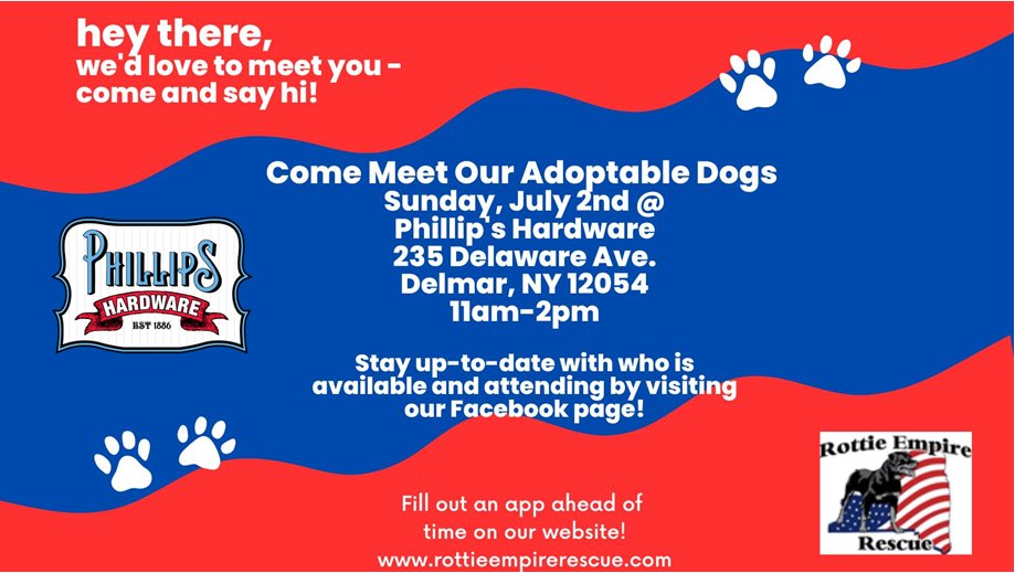 Stop by Phillip's Hardware on July 2 and check the dogs that are looking for a good home.