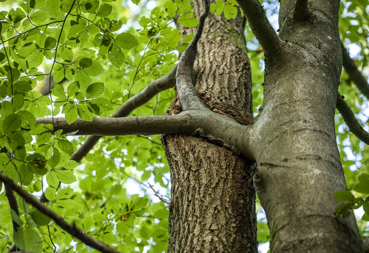 2. #Hartelijk hoeft natuurlijk niet letterlijk een hartje te zijn. Het is ook hartelijk als je als je een van je allermooiste foto's post als bedankje naar elkaar. 
Succes en een mooie eindsprint!
#Junieke_Fotografie. 
Twitter is zoveel mooier met jullie 🥰🤗