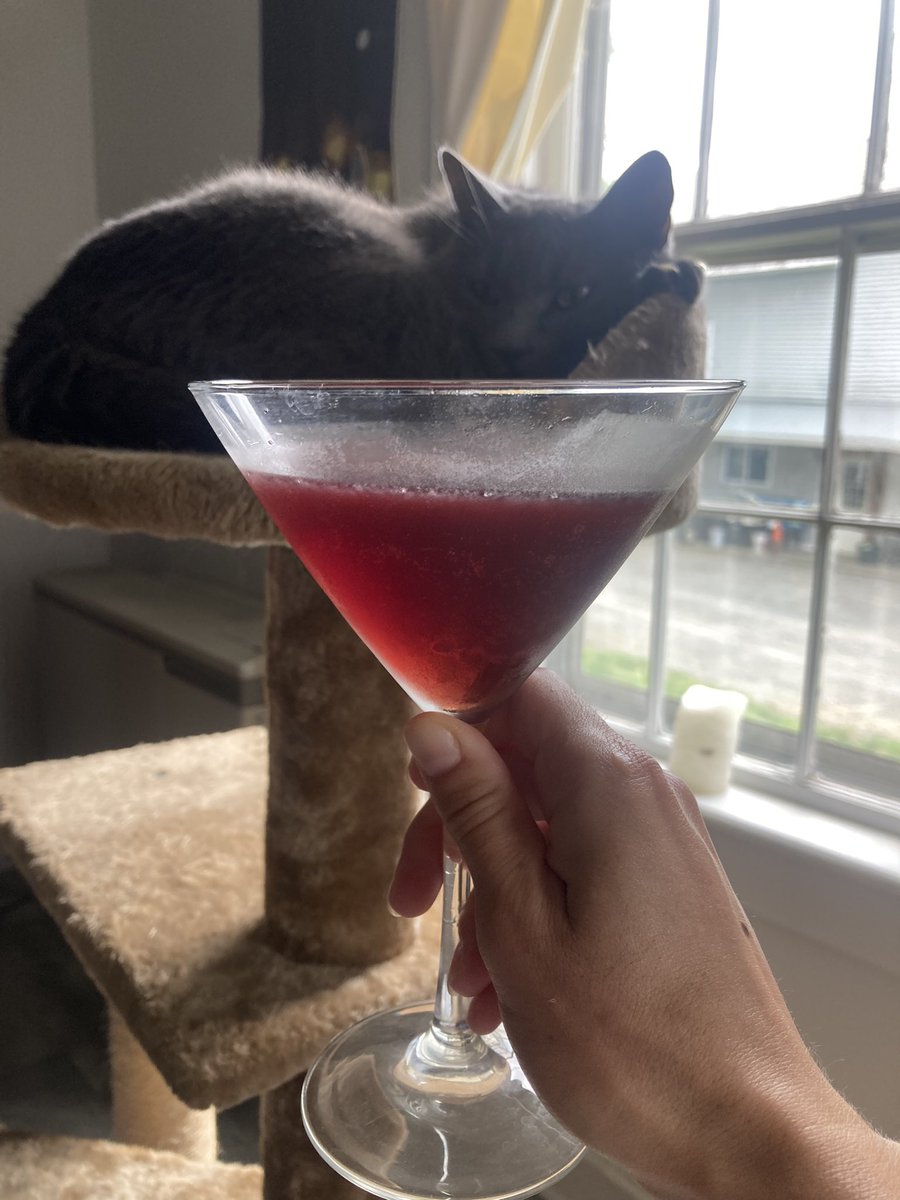 Human says it’s a “mocktail,” not real stupid juice, but took it away when I tried to sip.
