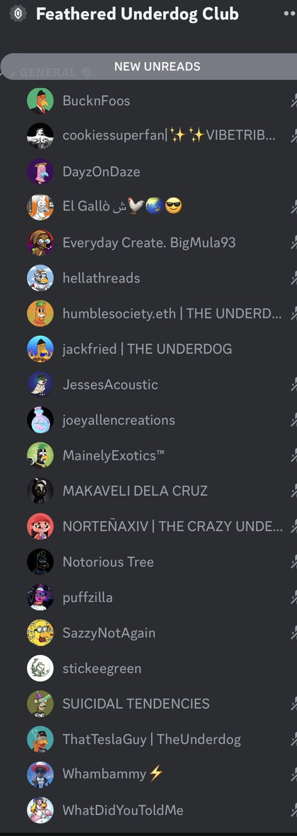Feathered Underdog Club tweet media