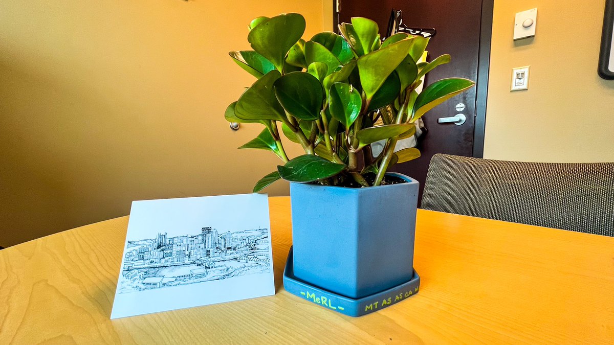 So grateful that I got to work with Dr. Colleen Mathews during her PHO fellowship. 

This plant with the initials of all of our shared patients over the last 3 years was the most thoughtful gift 🥺 She’s simply the best and I’m THRILLED she’s staying with us as faculty!