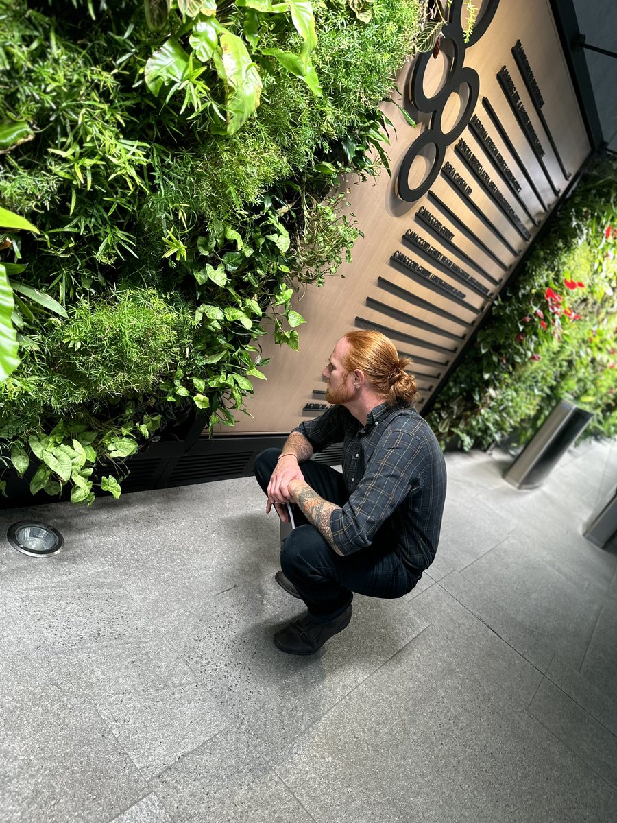 BurryPaul's tweet photo. Thank you Steve McIntyre and Niall Mc Evoy for hosting Brinsbury College  Horticulture on a tour of your incredible Live walls and biofilic projects in London
@ANSGroupGlobal has stimulated our planning for our future students curriculum. 
#horticulture #sustainability #brinsbury https://t.co/7sFKrNOA9G