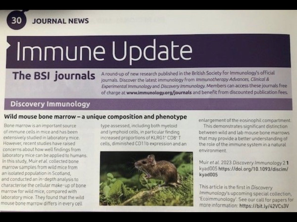 Great to see the wild mouse bone marrow paper by Muir et al featuring in the June issue of Immunology News - with an invitation to submit to the special collection @Mair_Iris and I are Guest editing