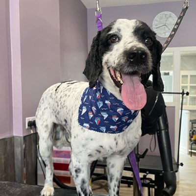 Richard Gibson tweet media