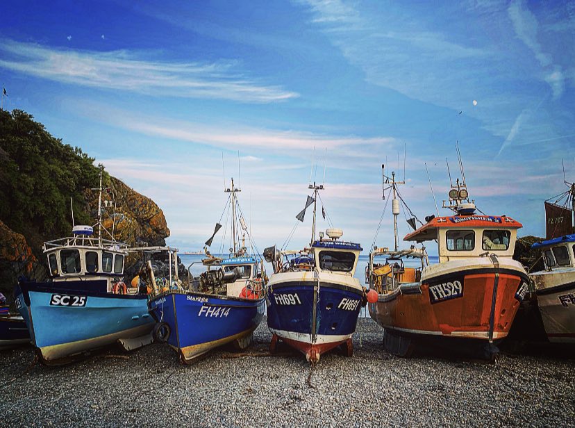 Robbie Bell tweet media