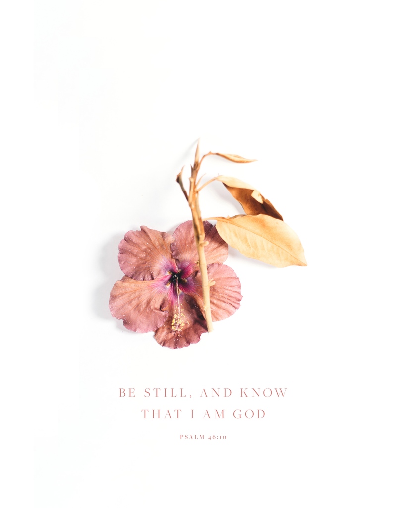 WellspringMB's tweet photo. Life sends so much activity and distraction at us. Sometimes the best thing we can do is just sit in stillness and let God reveal Himself to us.

What do you think it means to "be still" as it's said in this verse?

#bestillandknow #myrtlebeachsc2023 #wellspringmb #bestill https://t.co/gx2H96X2ir