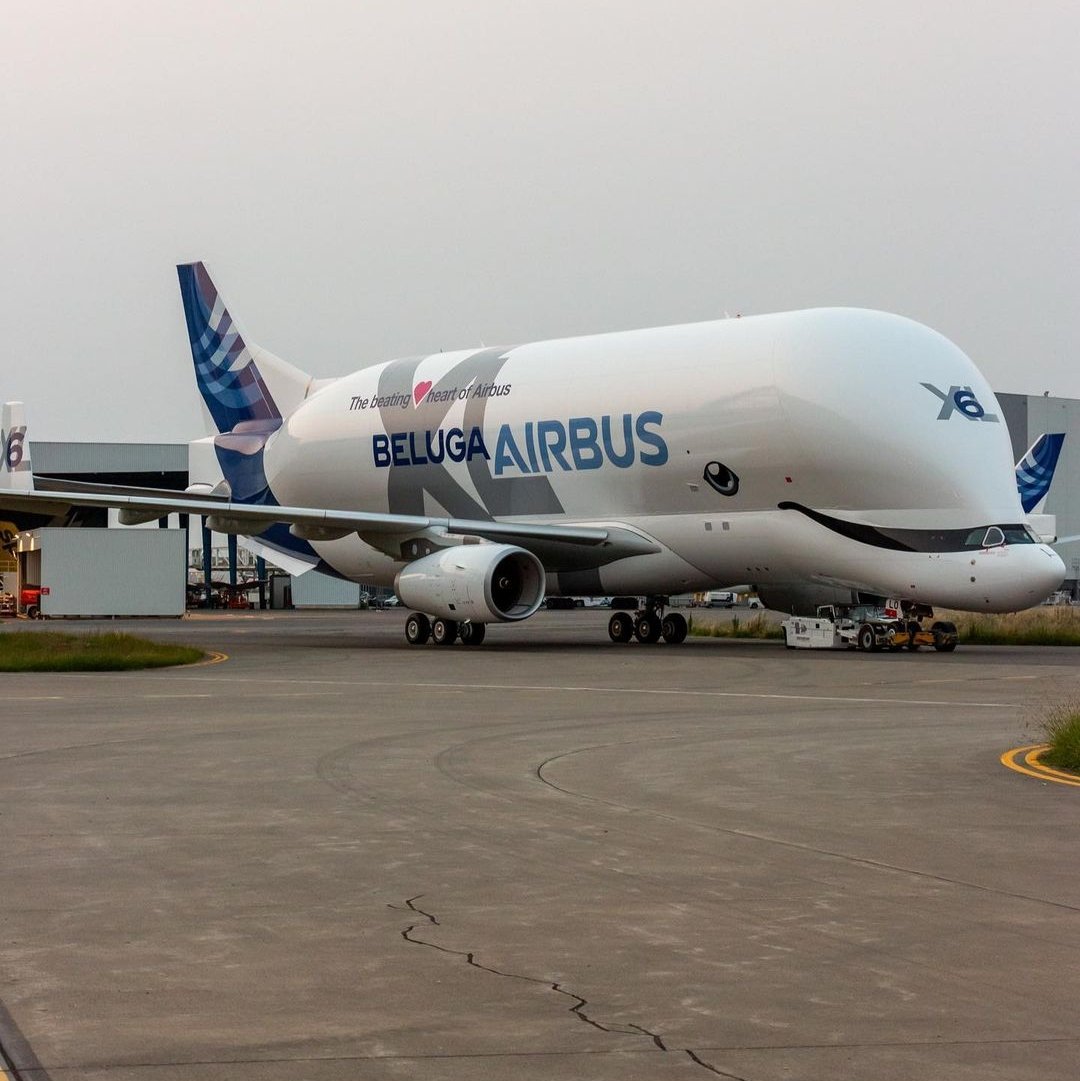 Just out the paint shop...##BelugaXL #Airbus #avgeek #avgeeks #planespotting #planes #aviation #aviationnews #aviationlovers #aviationdaily