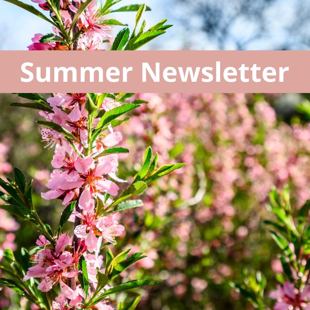 UW Center for Co-ops tweet media