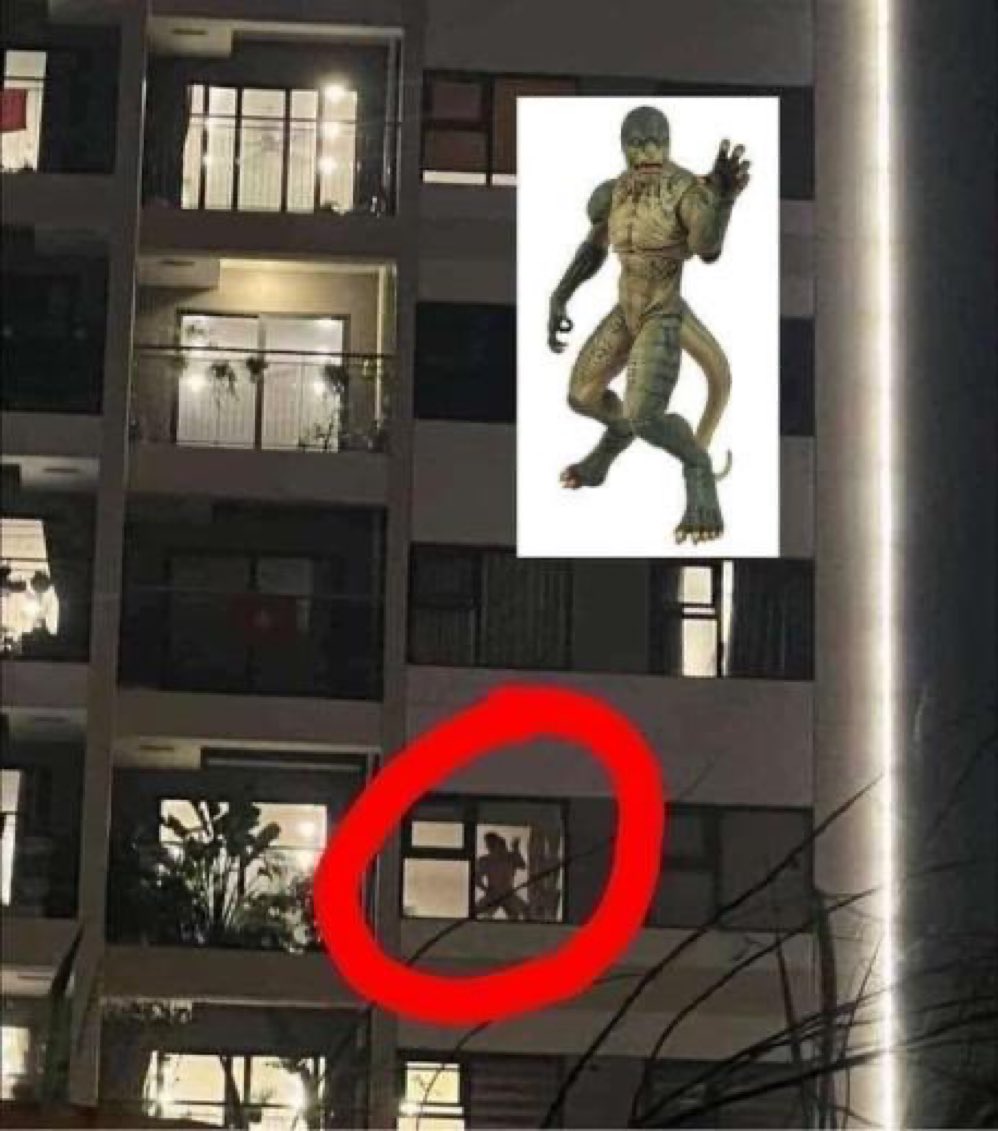 Marvel Memes (@marvei_memes) on Twitter photo 