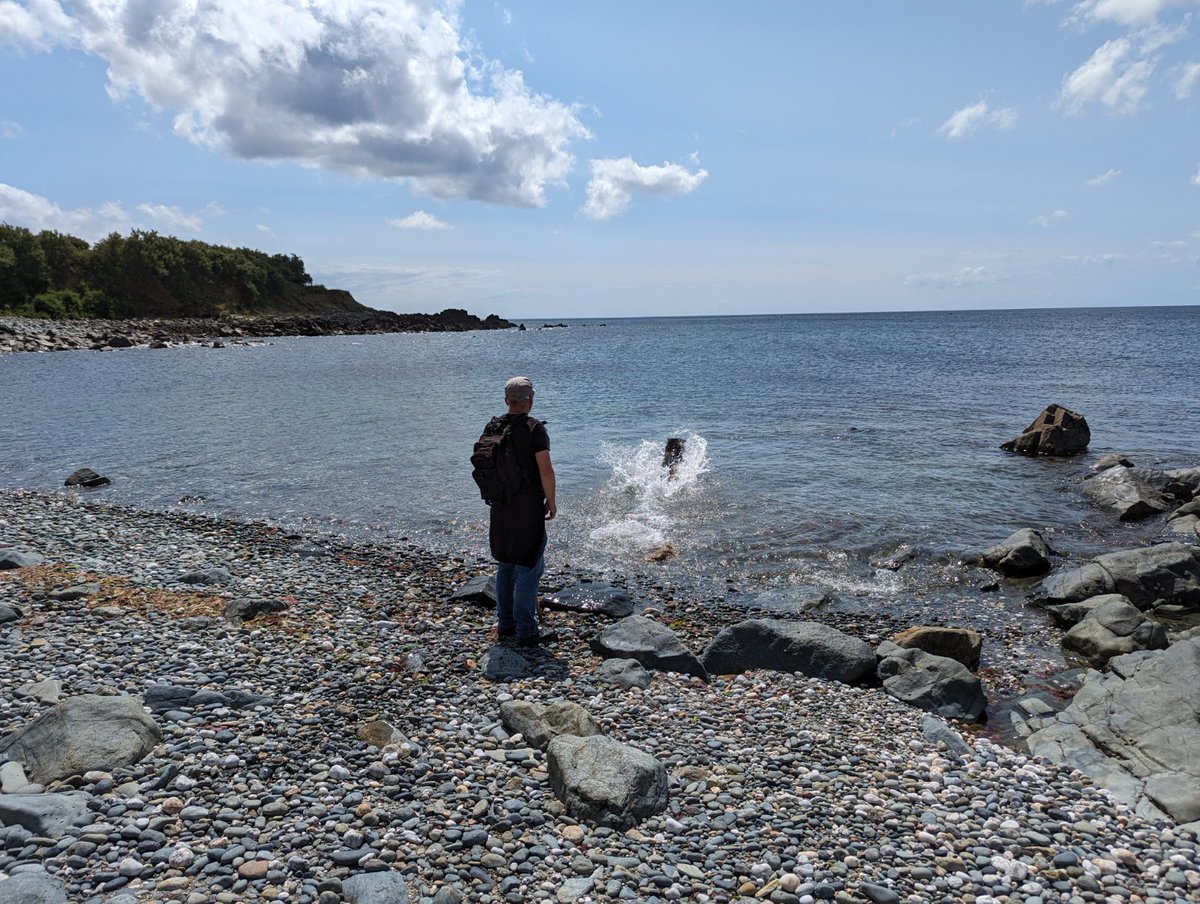 strangecurios's tweet image. Today was a good day.  @DerekThomasUK

As far as I could see no vile Tory Mp approved raw sewage in the sea &amp;amp; Mr Zeus so wanted to go in for a swim.

These self serving corrupt right wing fascist Tory parasitic vermin have to go!

#Cornwall #Cornish #StMichealsMount #GSD