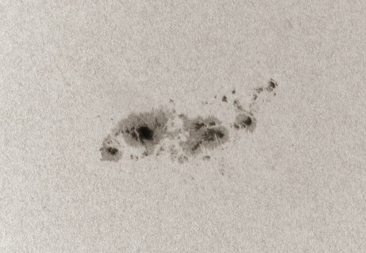 SkyandTelescope's tweet photo. If you have a #solarfilter, use it to have a quick look at the #Sun today - sunspot group AR3354 is rapidly growing and is now so large you can see it without a telescope. Associate Editor Sean Walker took this image today at 18:53 UT with a 92-mm refractor and QHY video camera. https://t.co/ecvsNOcOhy