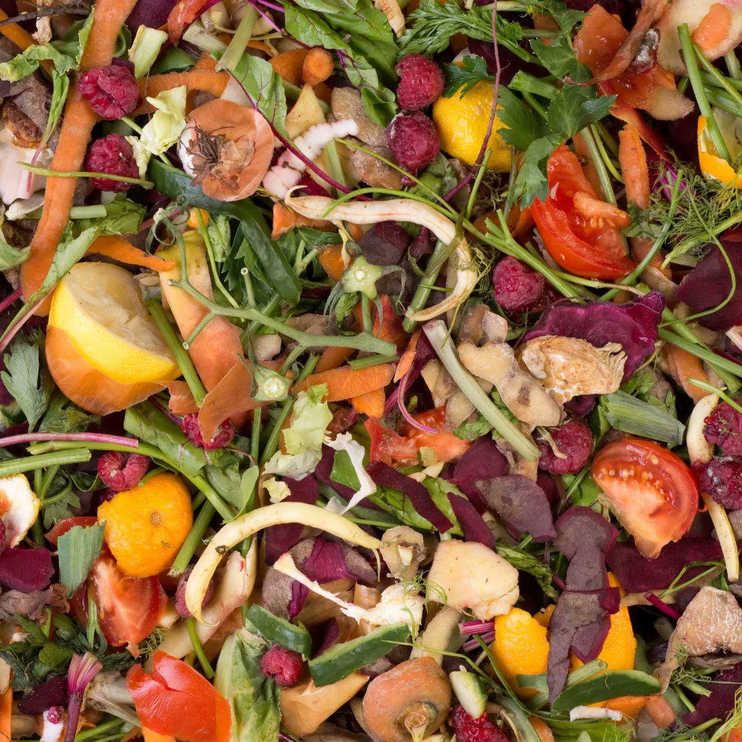 EcoSafeZW's tweet image. Some see trash - We see life! 

#makecompostingsecondnature #compostingiscool #compostlife #gogreen #motherearth #sustainabilityrocks #reducereuserecycle