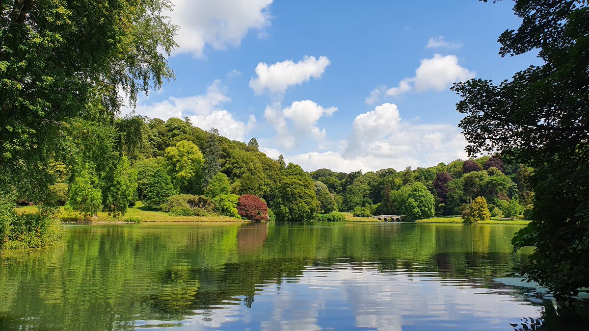 Beth Thomas tweet media