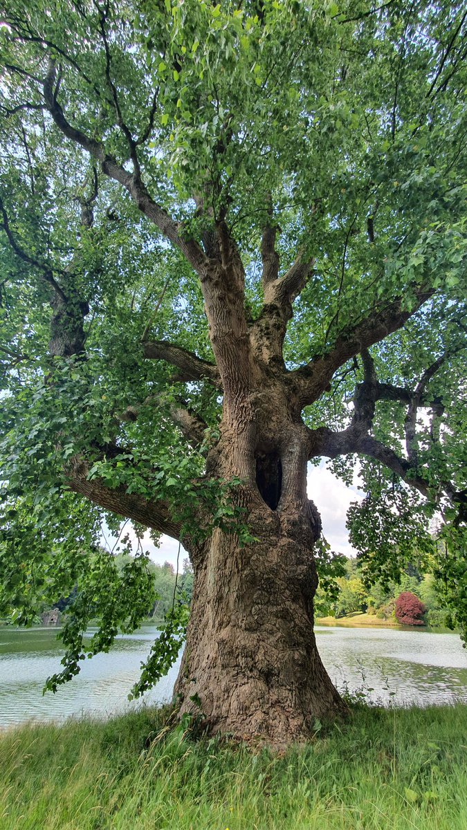 Beth Thomas tweet media