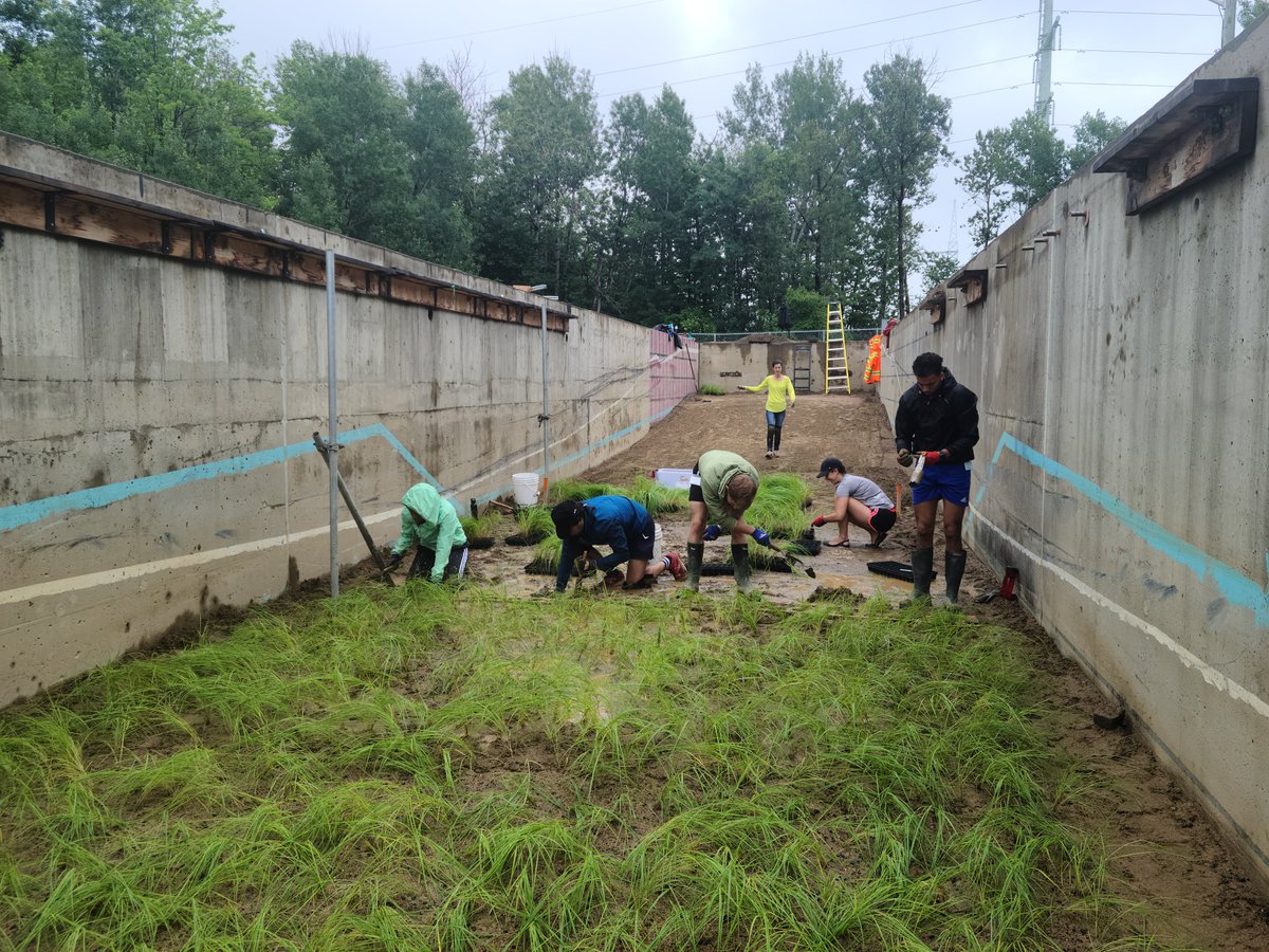 Jacob Stolle (@stolle13) on Twitter photo Une belle journée de plantation🌱au LHE, 7000 plants en un peu plus de 8 heures ! Le mois prochain, tests avec des vagues 🌊#vagues #NBCS #nature #science <a href="/inrsciences/">Institut national de la recherche scientifique</a> <a href="/NRC_CNRC/">NRC Canada</a> @CZCAssociation Une belle journée de plantation🌱au LHE, 7000 plants en un peu plus de 8 heures ! Le mois prochain, tests avec des vagues 🌊#vagues #NBCS #nature #science <a href="/inrsciences/">Institut national de la recherche scientifique</a> <a href="/NRC_CNRC/">NRC Canada</a> @CZCAssociation