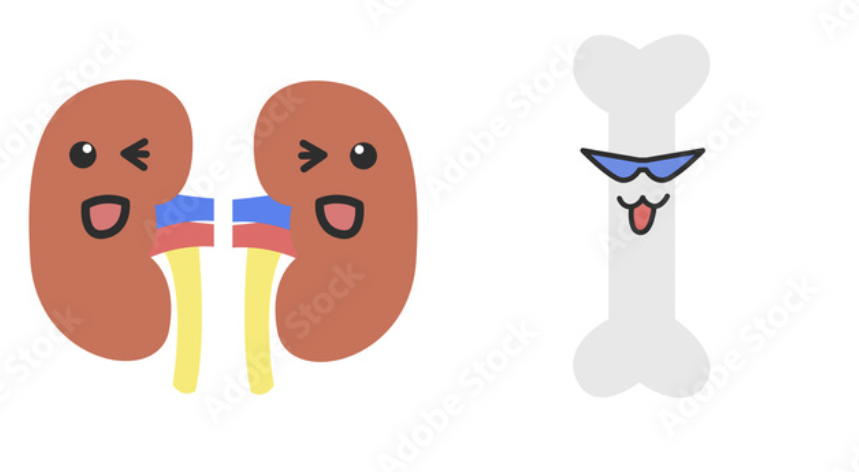 1/ Hi #MedTwitter Let’s chat about Chronic Kidney Disease (CKD) - Mineral Bone Disorder (MBD) in pediatric patients. #ASPNFOAM group #NephTwitter #tweetorial #PedNeph
<a href="/ASPNeph/">American Society of Pediatric Nephrology</a>