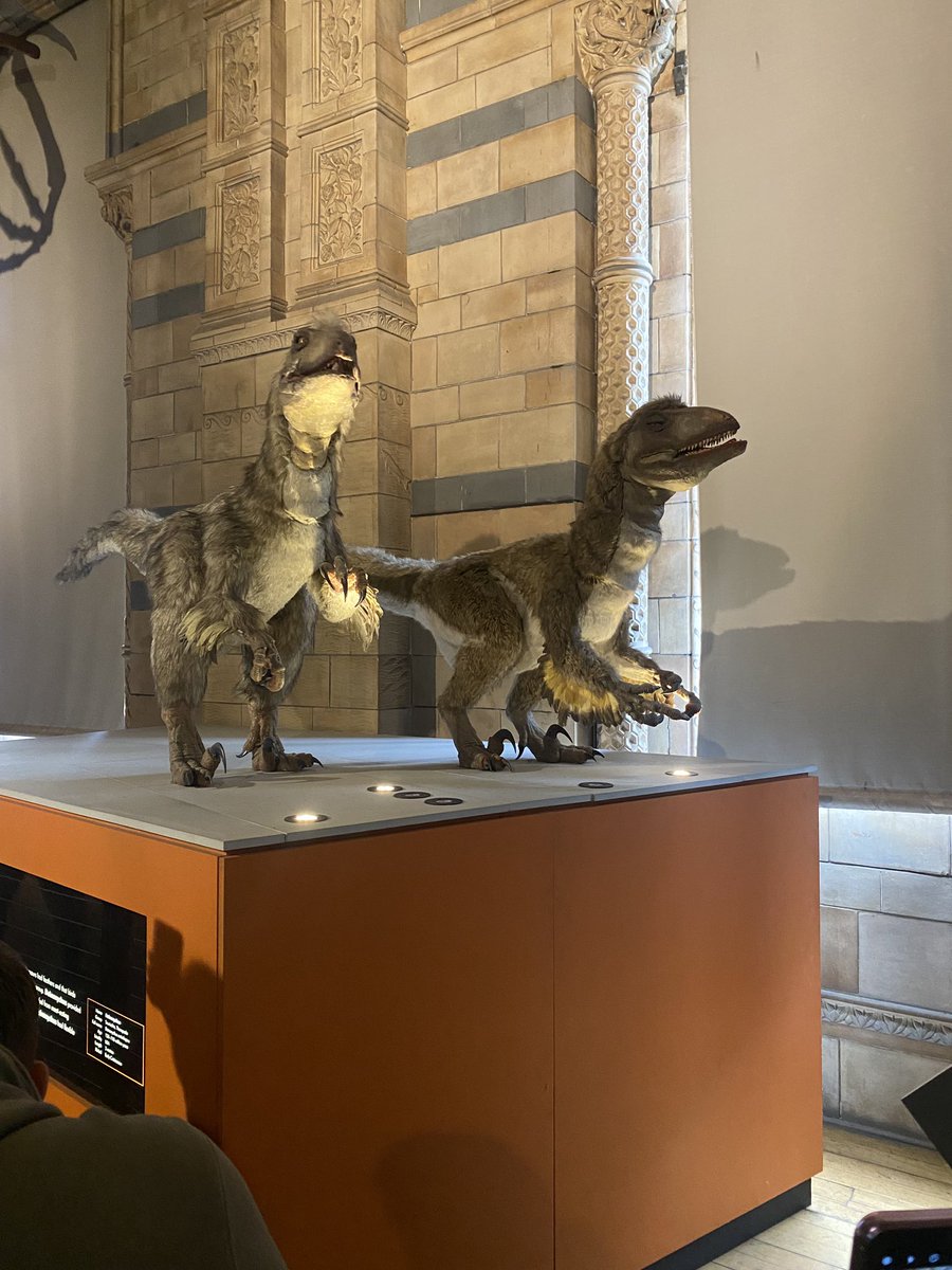 MrsJonesScience's tweet image. What a pleasure it was to take Year 7 to London, we all had a lovely time. Sorry about the lack of photos we were having too much fun! @misspooleihs @MrPreeceIHS @MrsNEdwardsIHS