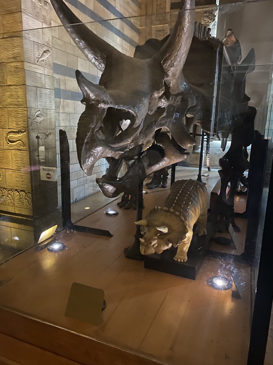 MrsJonesScience's tweet image. What a pleasure it was to take Year 7 to London, we all had a lovely time. Sorry about the lack of photos we were having too much fun! @misspooleihs @MrPreeceIHS @MrsNEdwardsIHS