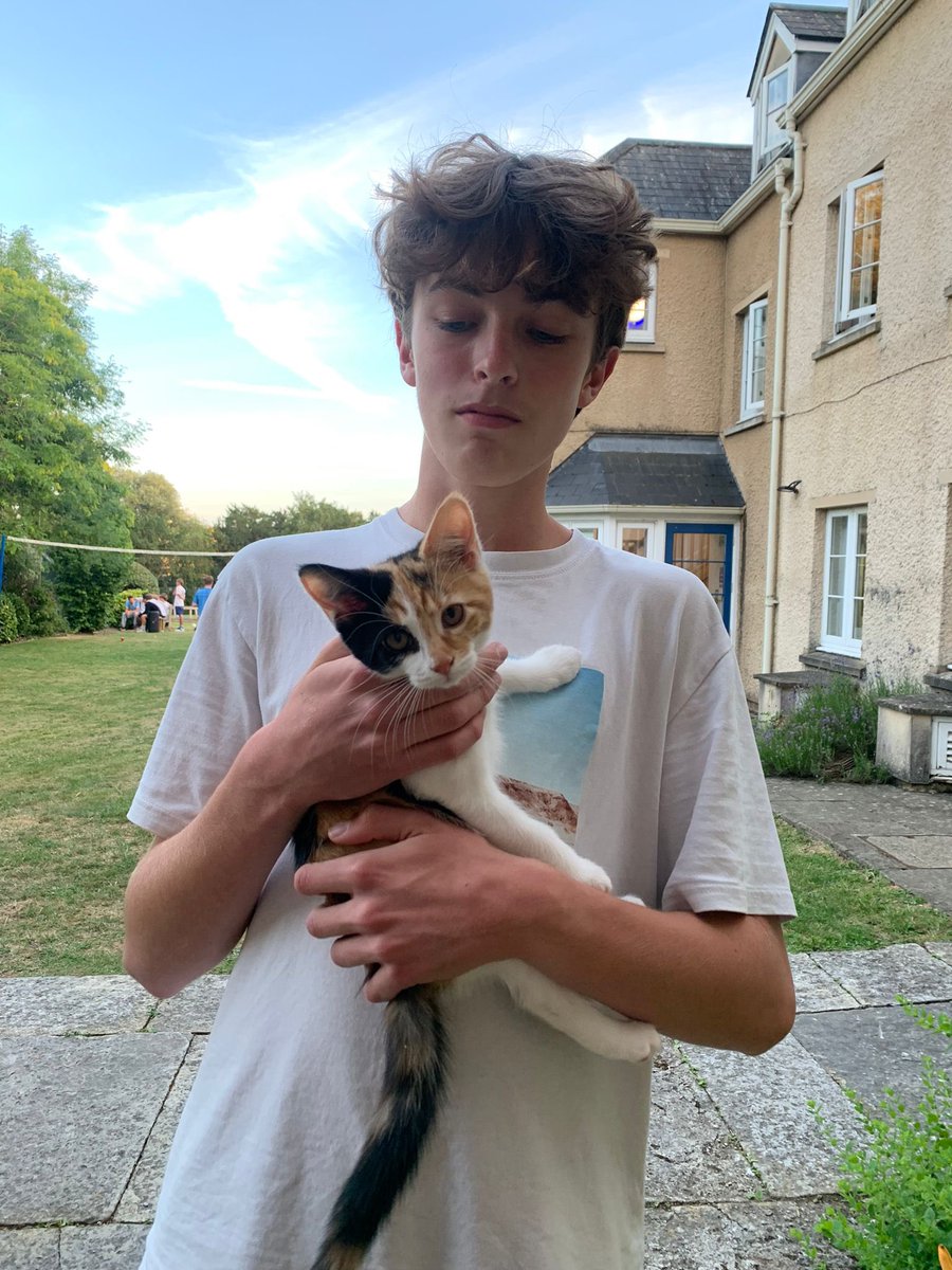 The Green kittens have been getting out and about tonight 🐱