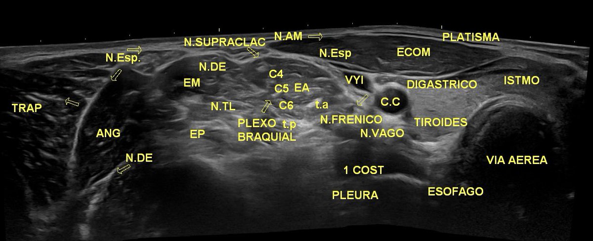 Mariano Martin-Macho tweet media