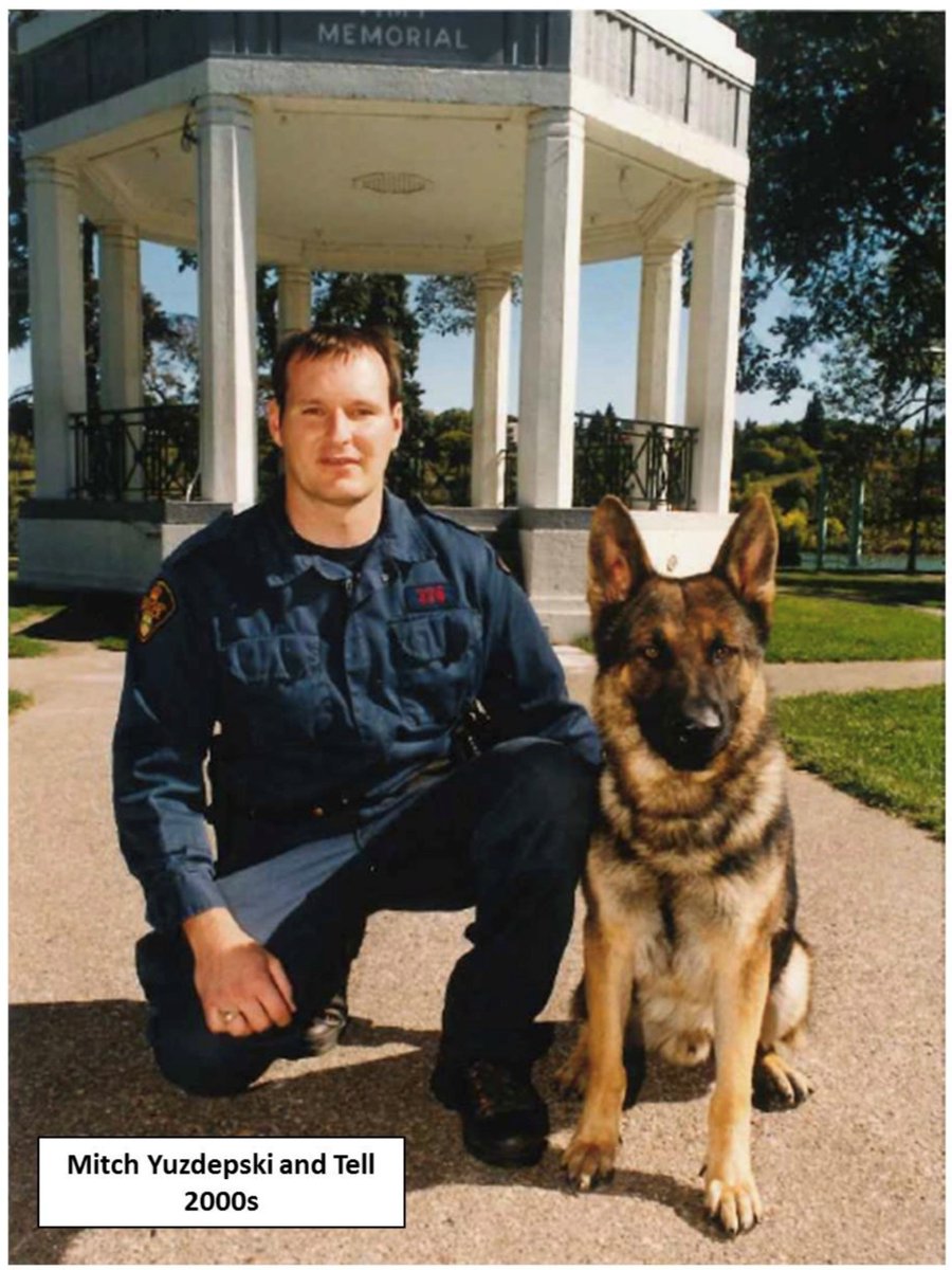 Saskatoon Police tweet media