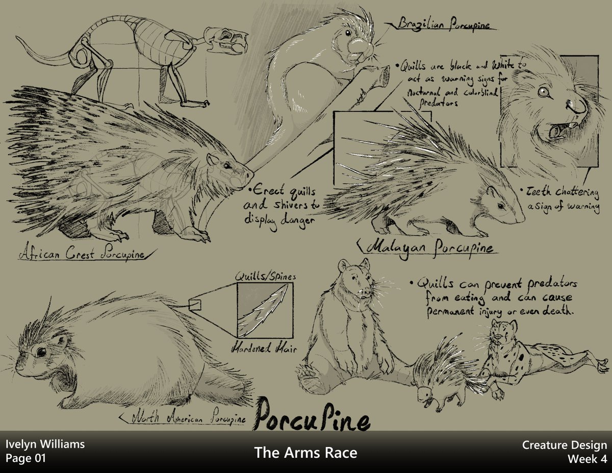 ivyyersinia's tweet image. Week 4:  Arms Race.  We studied the different offense/defense options creatures have.  I&apos;m a bit unhappy with my creative creature since it&apos;s just an octopus with no other creative aspect.  I did enjoy making the lore for them though. #dynamicsketching #creaturedesign