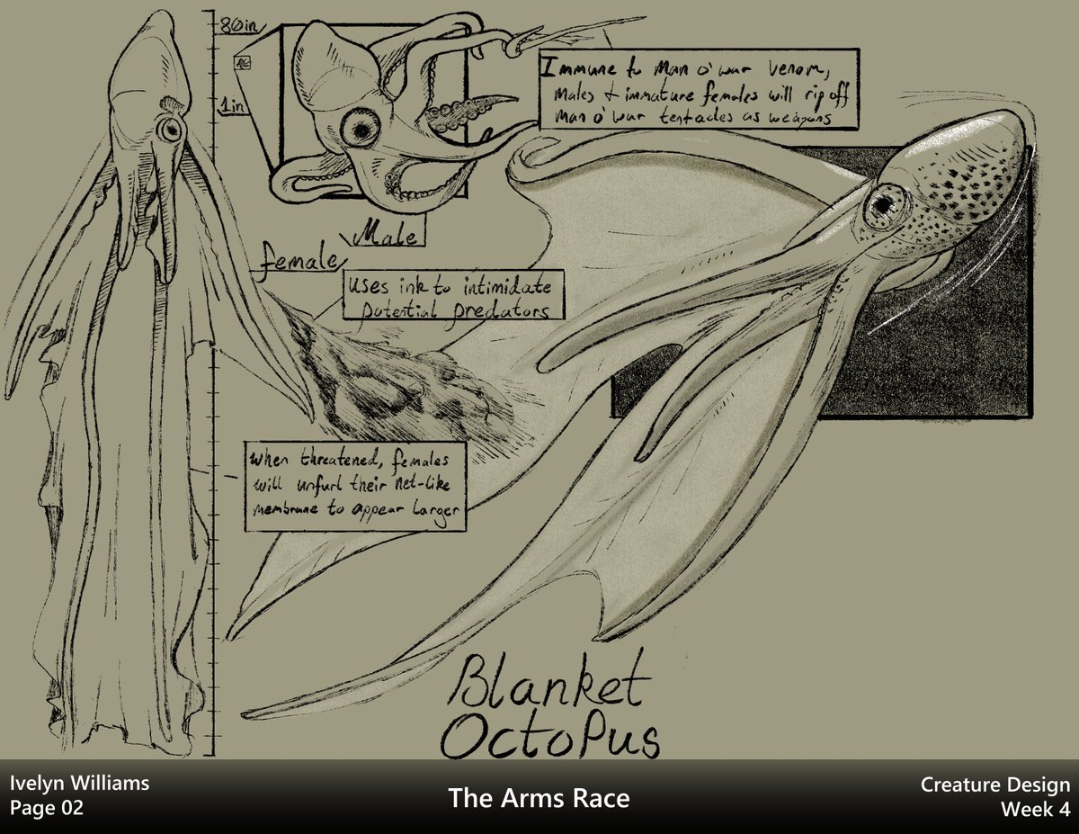 ivyyersinia's tweet image. Week 4:  Arms Race.  We studied the different offense/defense options creatures have.  I&apos;m a bit unhappy with my creative creature since it&apos;s just an octopus with no other creative aspect.  I did enjoy making the lore for them though. #dynamicsketching #creaturedesign
