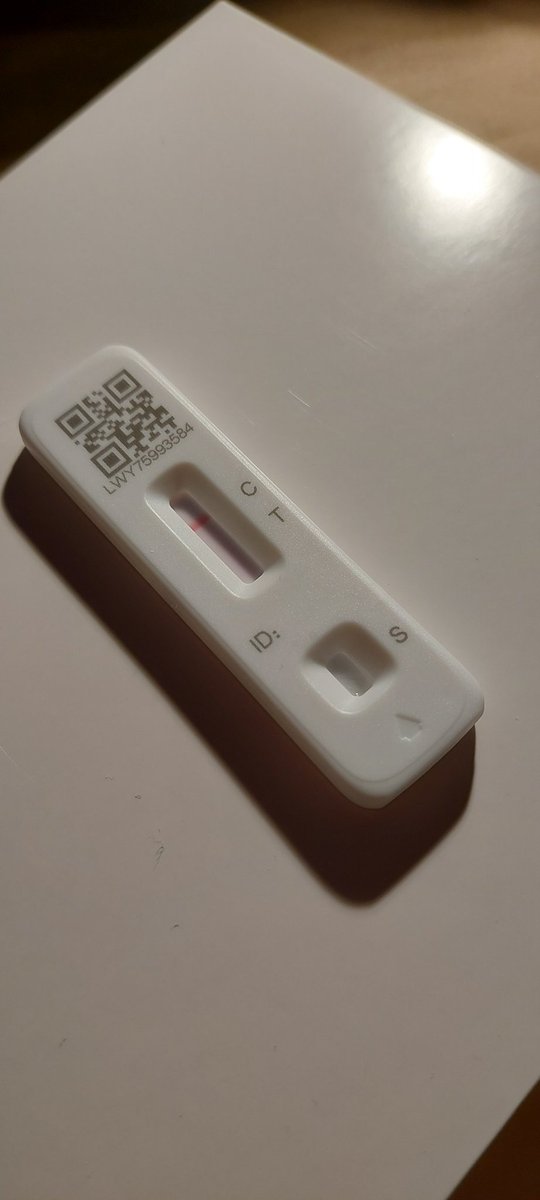 Trepid Explorer tweet media