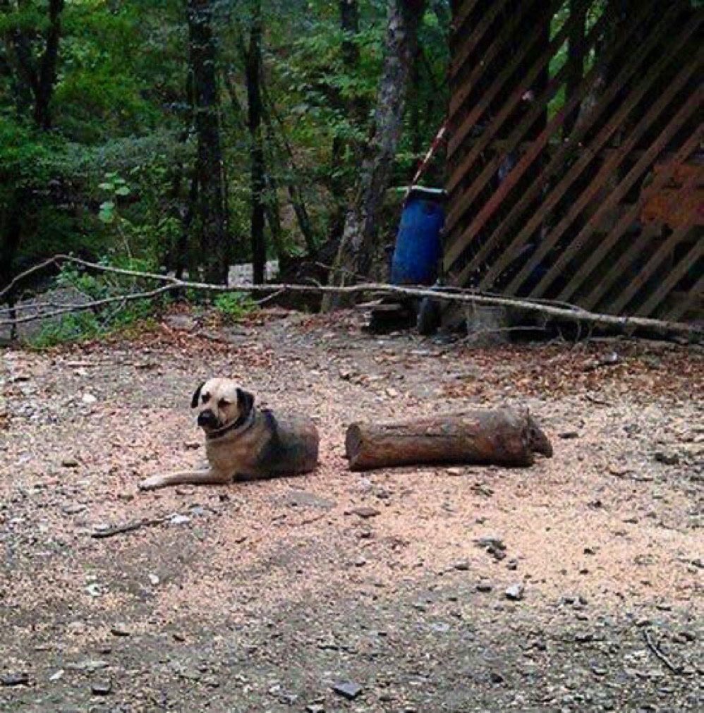 Creo que necesito lentes nuevos…