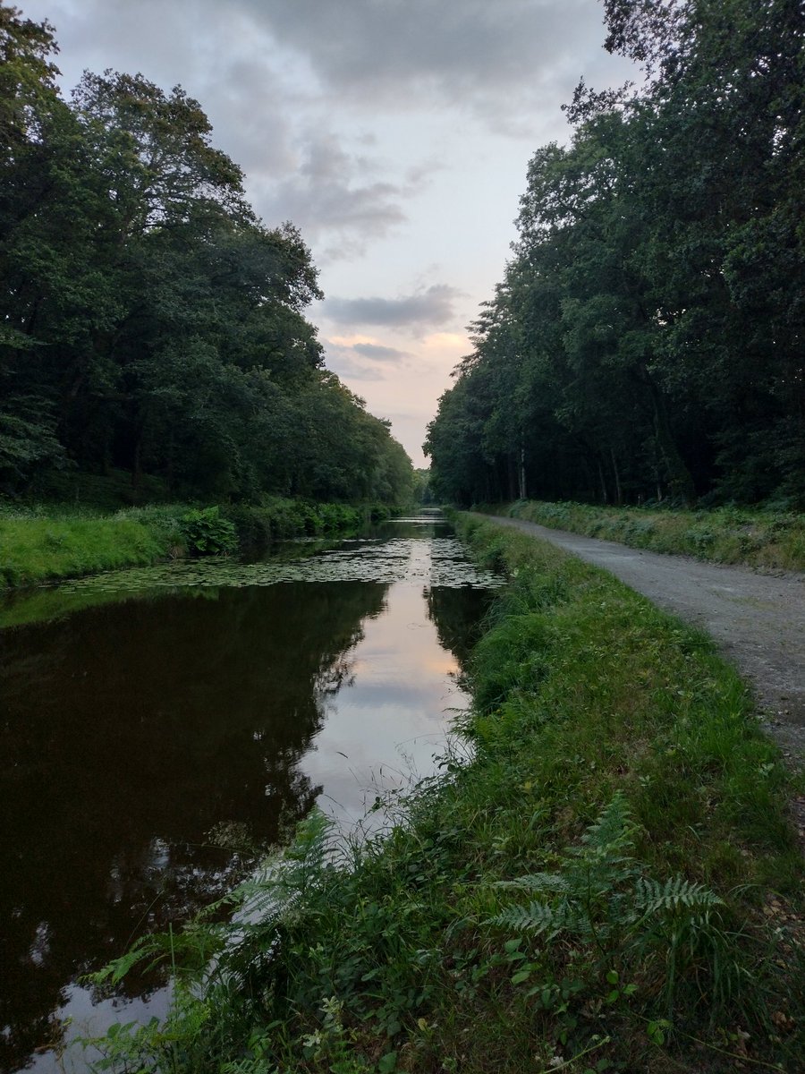 La grande #tranchée du #Canal de Nantes à Brest sur la commune de #Glomel ce soir. cette partie du #canal à été construite avec la force de travail des #prisonnierspolitiques de l'époque (sous #CharlesX, donc des #Républicains radicaux, des #Bonapartistes, etc...). #grandstravaux