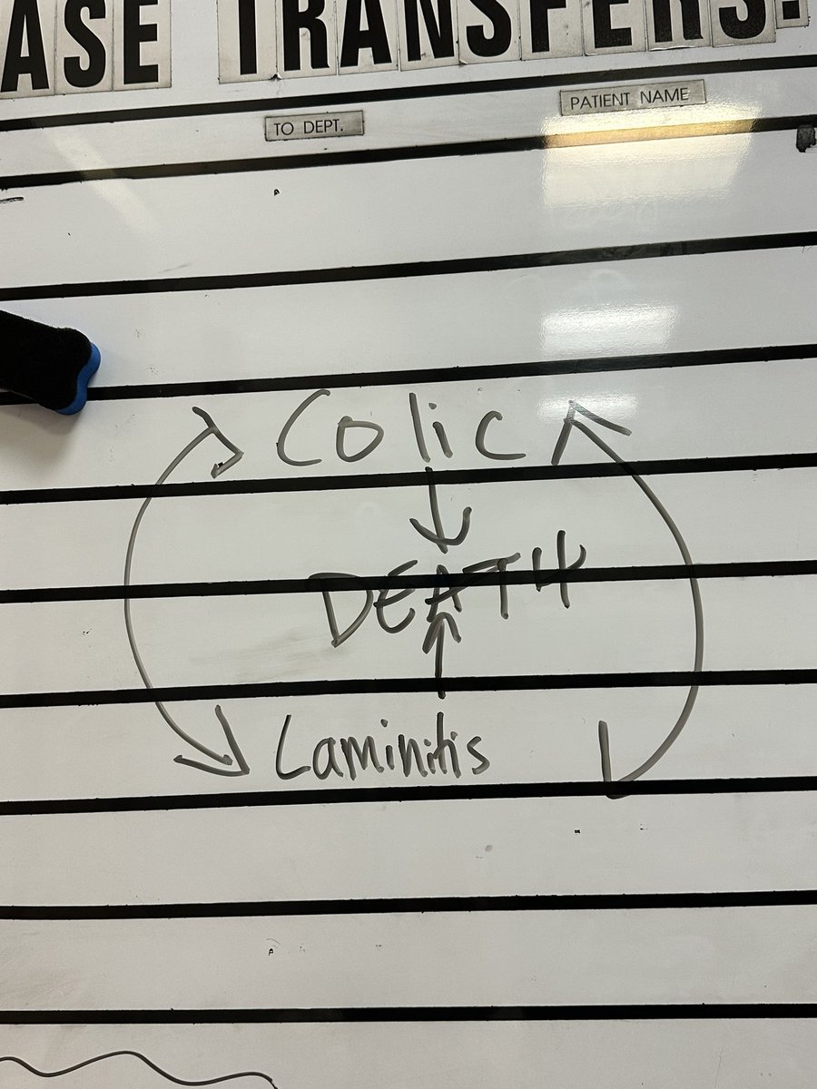 Quixoticosis tweet media