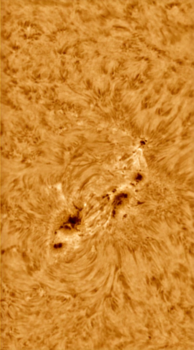 A post crackling sunspot group. AR3354 #sun #solar #sunspots #astrophotography #astronomy #space #sunhour #stormhour #thephotohour