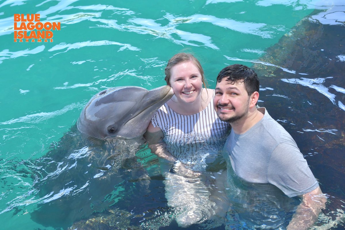 kelsnhern's tweet photo. This crazy weather is making me wish that I could be back swimming with the dolphins instead of in Indiana. https://t.co/09siEmuGLY