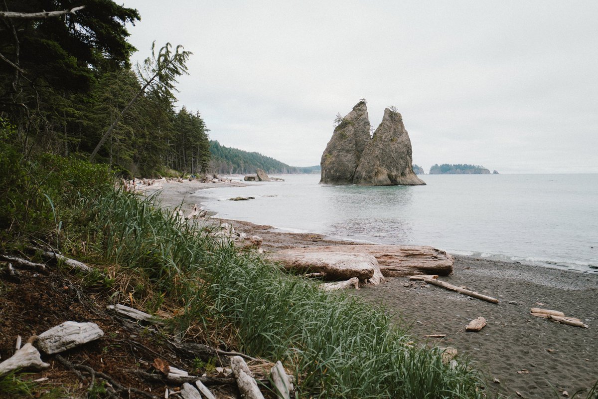 maggie chan tweet media