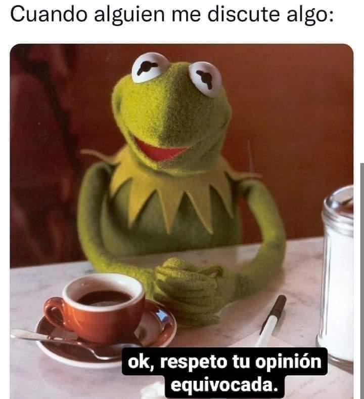 PilarHaces tweet media