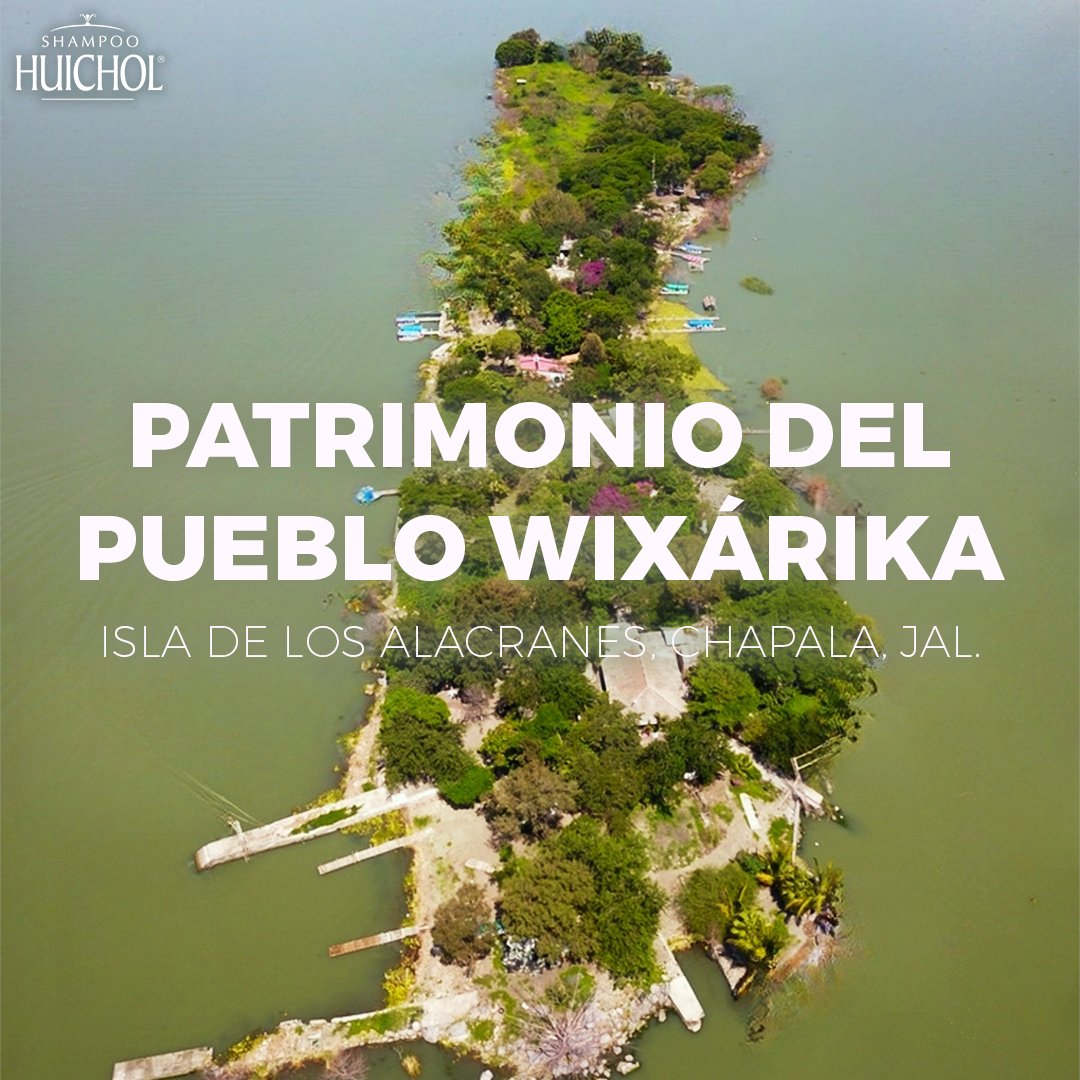 ¿Sabías qué...? El 4 de julio de 2017 la Isla de los Alacranes de Chapala fue declarada como patrimonio cultural del estado de Jalisco, asimismo como patrimonio del pueblo #Wixárika. La isla (a la cual llaman Xapawiyemeta) es considerada por este pueblo como centro ceremonial 🦂