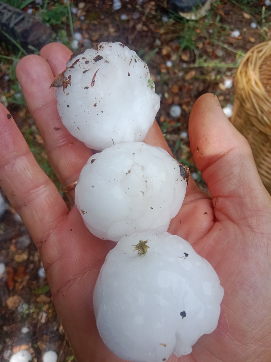 eltiempo_atv's tweet photo. Buen tamaño el de este #granizo caído en #Berdejo en el #ValledelManubles en la #ComunidaddeCalatayud #Zaragoza
Autor: Francisco Lacarta
@AEMET_Aragon
@Supercelulas
@frutamanubles
@CarlosDezaDeza
@meteobenas
@heraldoes
@AragonMeteo
@AragonNoticias_
@aragontv https://t.co/y5uEYJmnjm