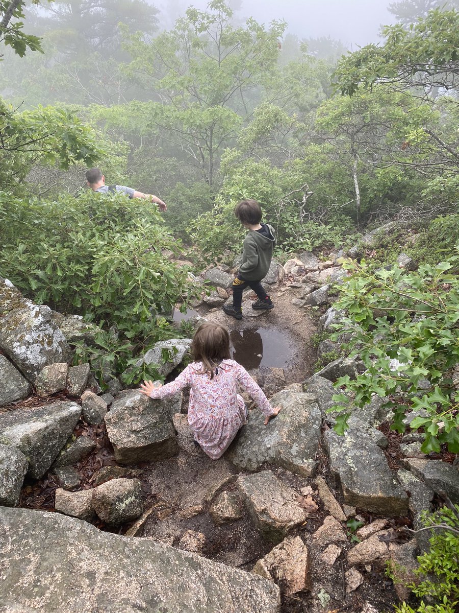 Super proud of our tiny crew C&J who managed to hike and climb the Acadia Mountain trail today 💪🏻 although the views were rather disappointing #proudtwinmom #acadia. Best work life balance @MDIBL