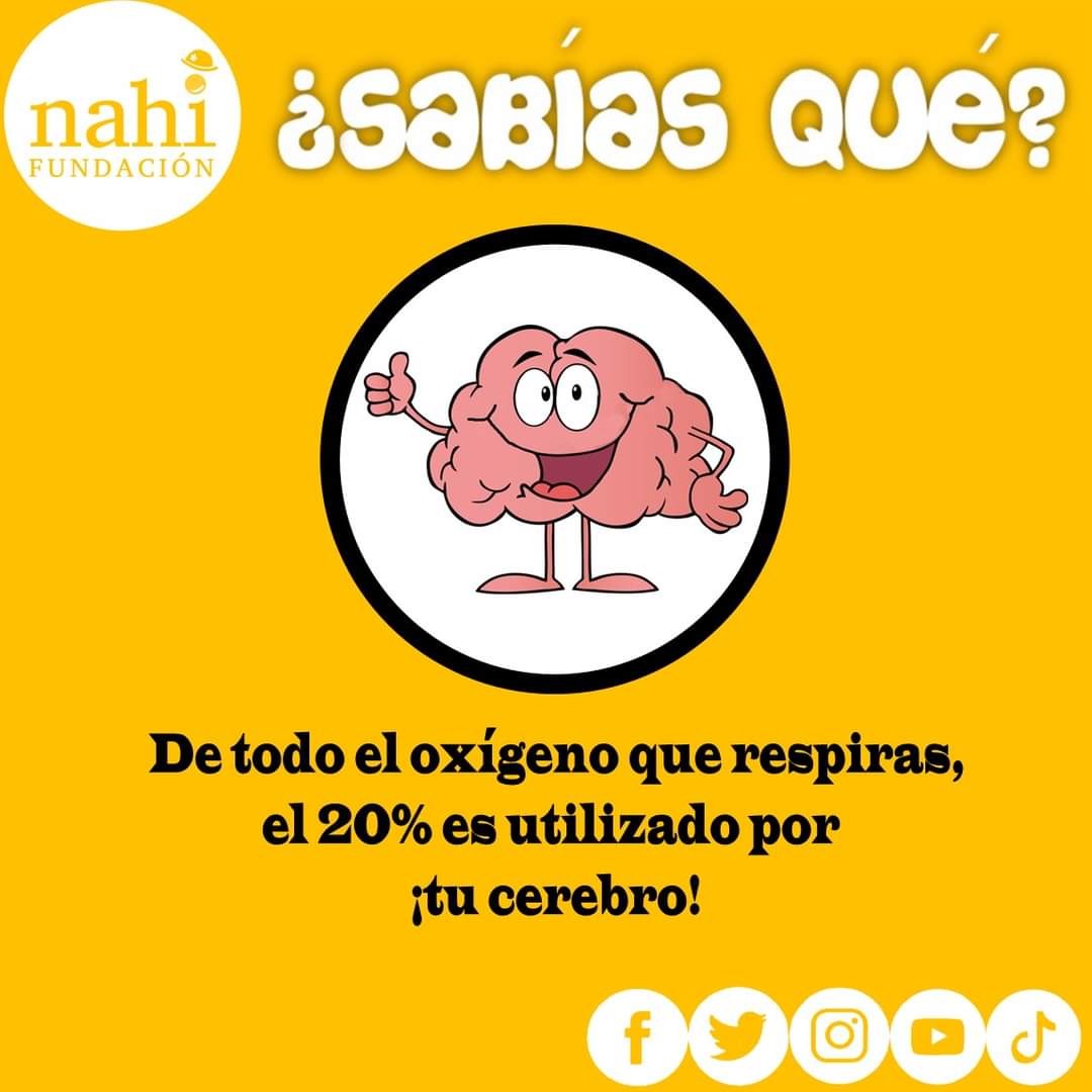 #fundacionnahi #fundacion #clownhumanitario #clownhospitalario #payasosdehospital #conelcorazonenlanariz #narizroja #laborsocial #voluntariado #cdmx #méxico #diversion #felicidad #amor #terapiadelarisa #IMSS #ISSSTE #secretariasaludcdmx #risoterapia #risoterapiamexico #hospital