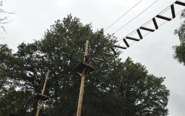 Nia Davies tweet media