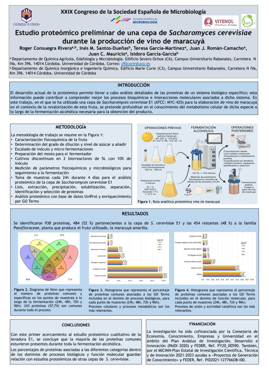 ConsuegraRoger's tweet photo. Comunicación en formato póster en el @CongresoSem23 de la @SEMicrobiologia Burgos 🇪🇦.
Resultados de la tesis doctoral: Biotecnología de fermentaciones alcohólicas y acéticas asociadas a la maracuyá amarilla.
@PD_BioCienAgro @Fac_CienciasUCO https://t.co/77iRWA47yC