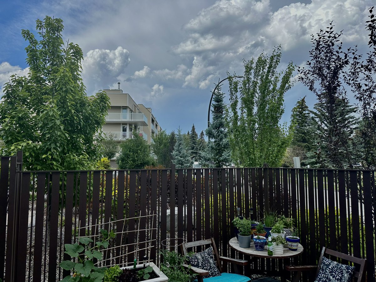 I see thunderstorms brewing up again coming from NW 👀 #abstorm #yyc @cmcalgary