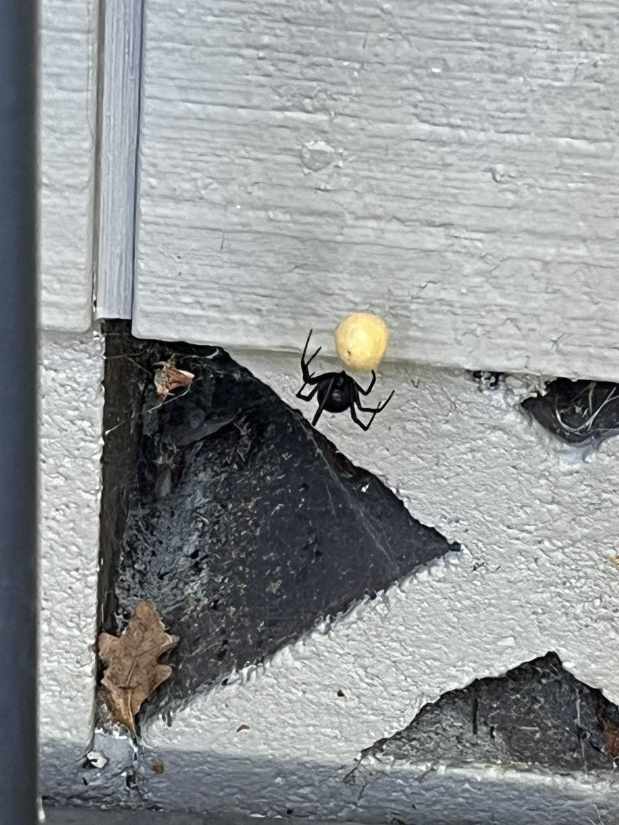 Corey Paterson tweet media