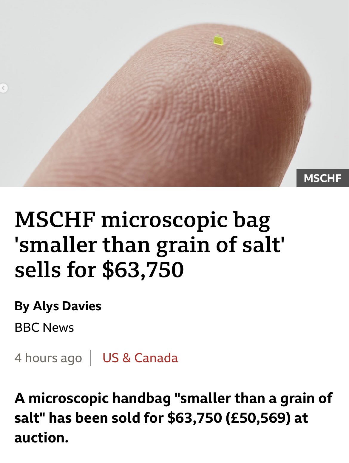 MSCHF microscopic bag 'smaller than grain of salt' sells for