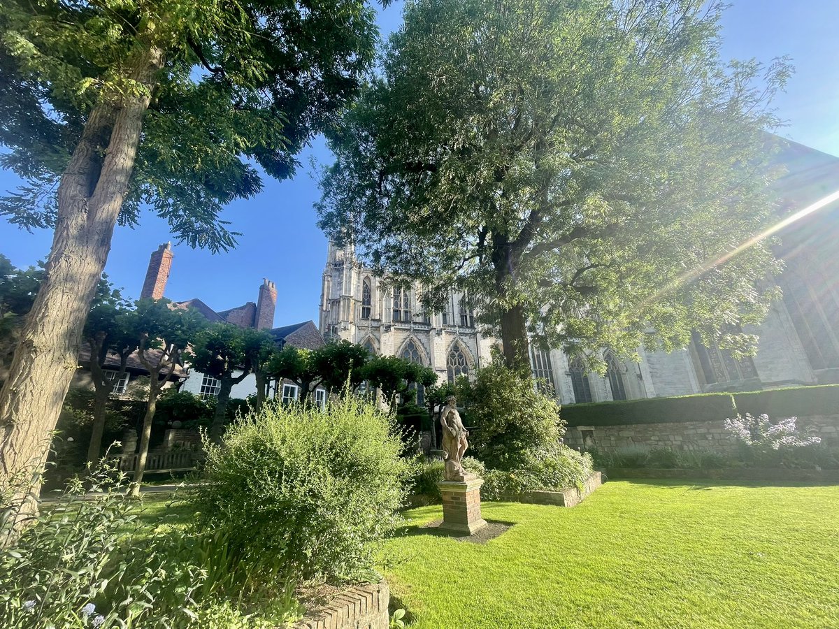 York Professionals tweet media