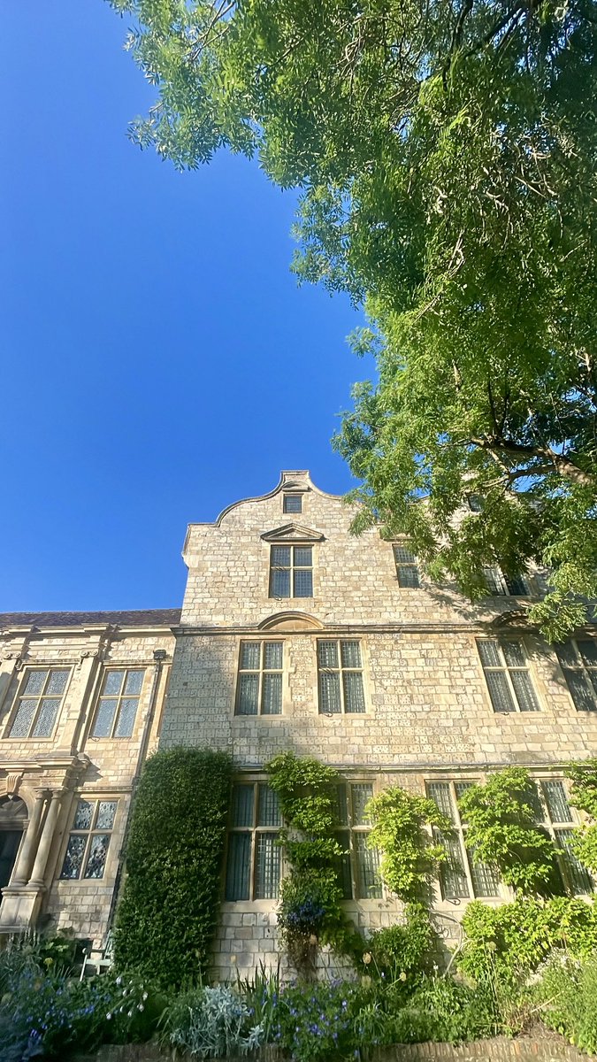 York Professionals tweet media